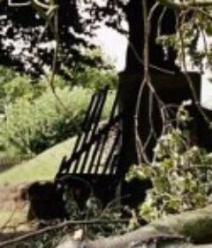 自由射手 Hunter's Bride            (2010)