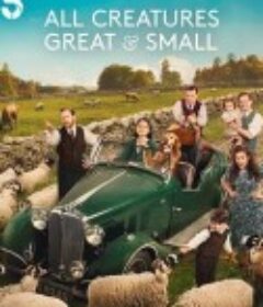 万物生灵 第六季 All Creatures Great and Small Season 6            (2025)