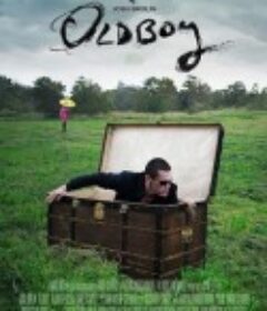 老男孩 Oldboy            (2013)
