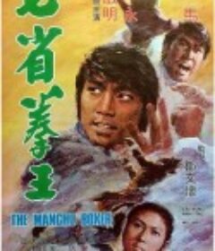 七省拳王            (1974)