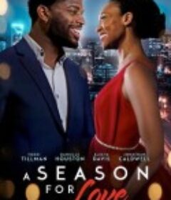 爱的季节 A Season for Love            (2025)