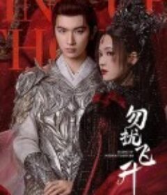 勿扰飞升            (2025)