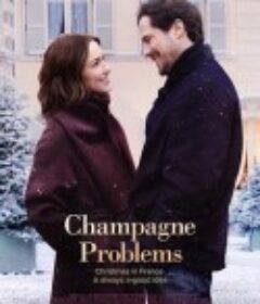 香槟情缘 Champagne Problems            (2025)