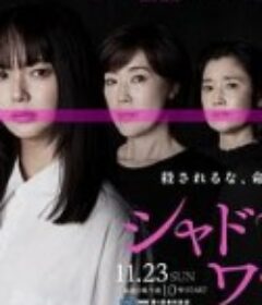 影子工作 シャドウワーク            (2025)