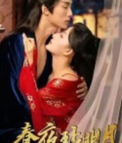 春夜玷明月            (2025)