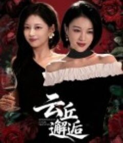 云丘邂逅            (2025)