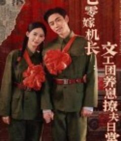 七零嫁机长文工团养崽撩夫日常            (2025)