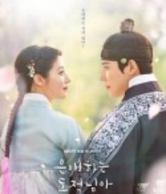 亲爱的盗贼大人 은애하는 도적님아            (2026)