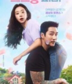 春日狂热 스프링 피버            (2026)