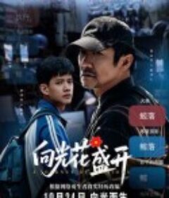 向光花盛开            (2025)