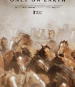 夏日烈焰 Ildsommer            (2025)