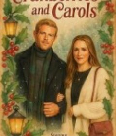 情定圣诞客栈 Christmas at the Inn            (2025)