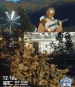 快乐老友·有风季            (2025)