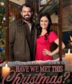 圣诞若只如初见 Have We Met This Christmas?            (2025)