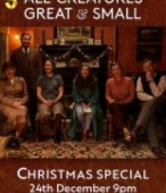 万物生灵：2025圣诞特别集 All Creatures Great and Small: 2025 Christmas Special            (2025)