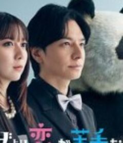 比熊猫更不擅长恋爱的我们 パンダより恋が苦手な私たち            (2026)